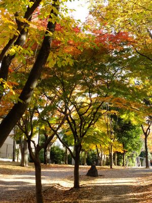 ささぶねの道（御影橋）
