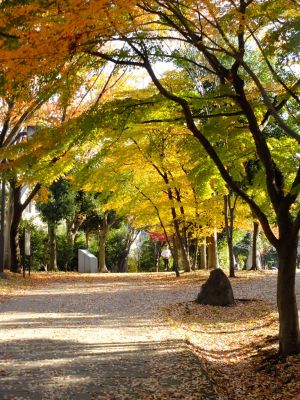ささぶねの道（葛が谷公園）
