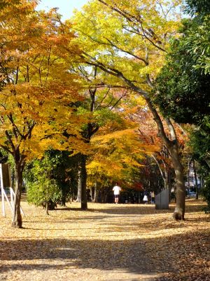 ささぶねの道（葛が谷公園）
