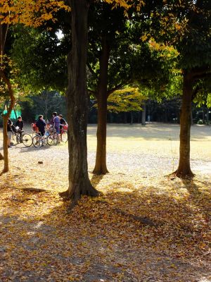 ささぶねの道（葛が谷公園）
