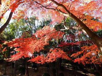 ささぶねの道（御影橋）
