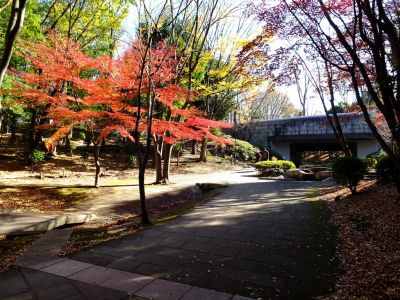 ささぶねの道（御影橋）
