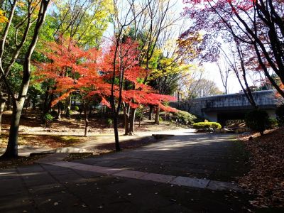 ささぶねの道（御影橋）
