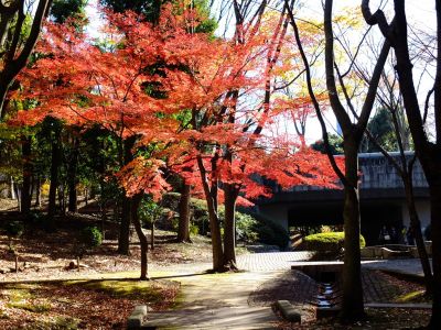 ささぶねの道（御影橋）
