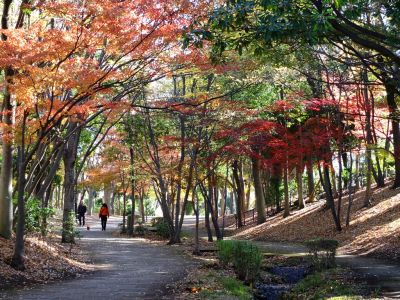 ささぶねの道（御影橋）
