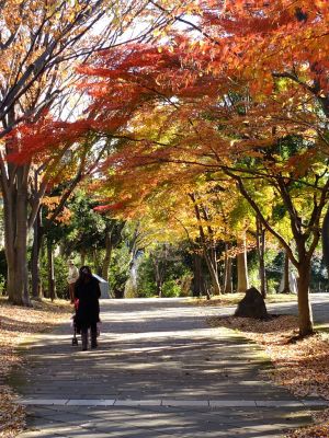 ささぶねの道（御影橋）
