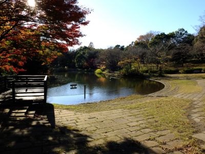 鴨池公園
