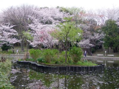 せせらぎ公園
