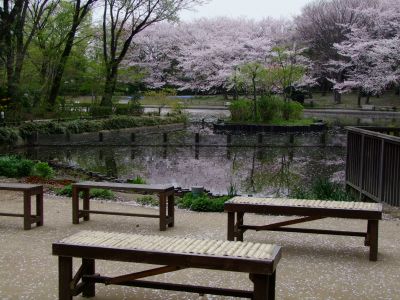 せせらぎ公園
