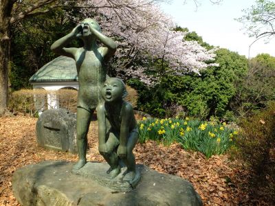 鴨池公園（染井吉野）
