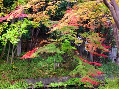 茅ケ崎の杉山神社
