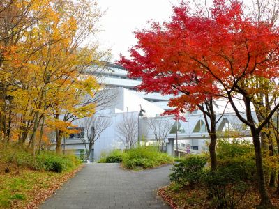 昭和大学北部病院
