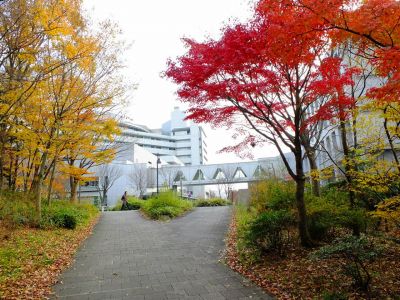 昭和大学北部病院
