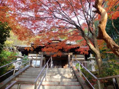 心行寺の紅葉
