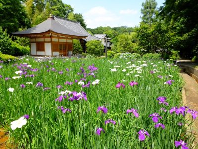 正覚寺（しょうがくじ）
