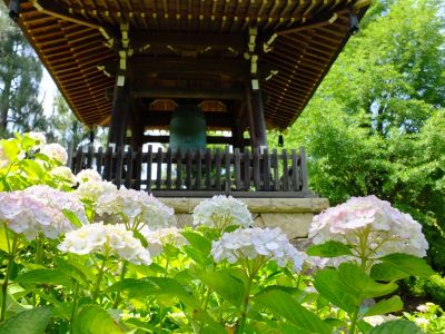 正覚寺（しょうがくじ）
