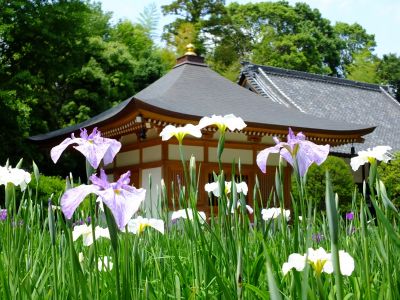 正覚寺（しょうがくじ）
