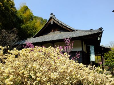 正覚寺（しょうがくじ）
