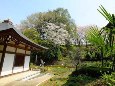 正覚寺（しょうがくじ）
