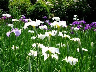 正覚寺（しょうがくじ）
