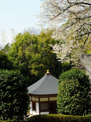 正覚寺（しょうがくじ）
