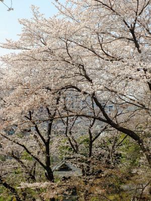 正覚寺（しょうがくじ）
