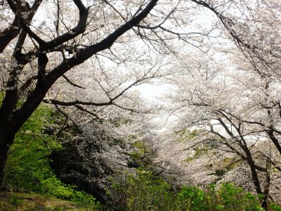 正覚寺（しょうがくじ）
