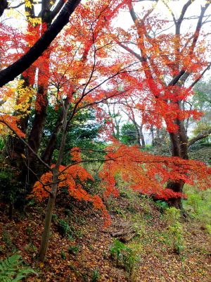天台宗　長窪山正覚寺
