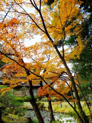 天台宗　長窪山正覚寺
