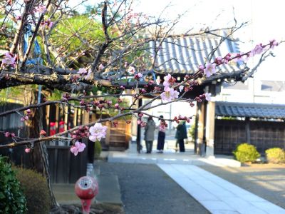 真言宗豊山派自性院
