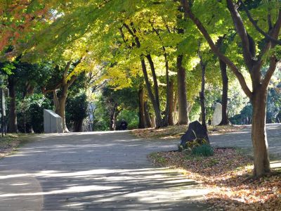 ささぶねの道（御影橋）
