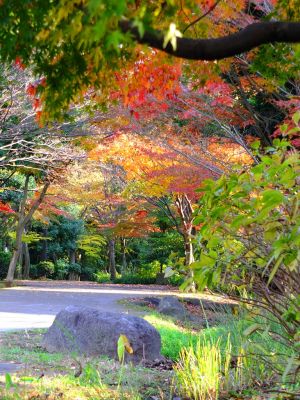 ささぶねの道（ログハウス周辺の分岐）
