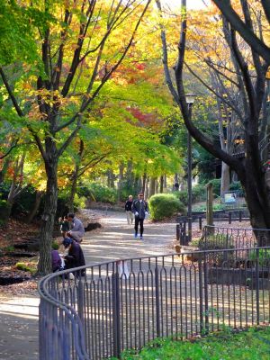 ログハウス周辺
