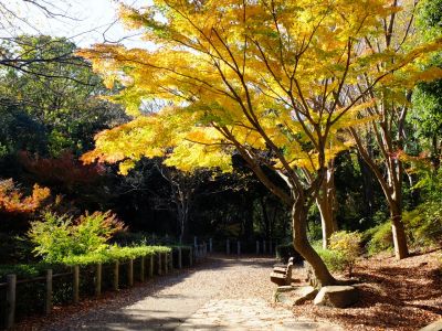 茅ヶ崎公園

