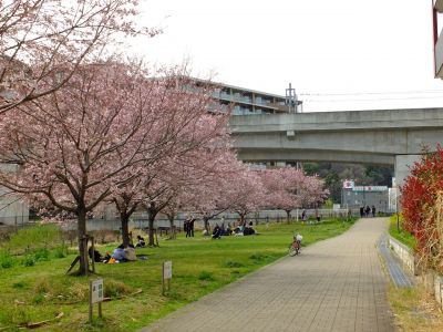 早渕川親水公園（神代曙）
