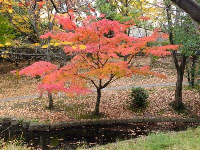 ささぶねの道（渋沢橋）
