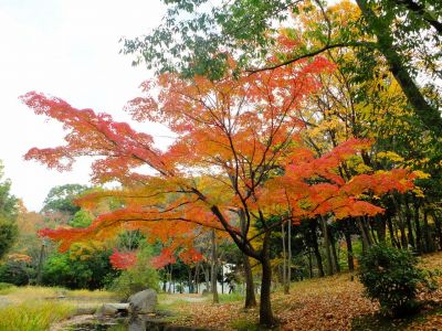 ささぶねの道（渋沢橋）

