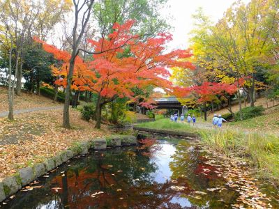 ささぶねの道（渋沢橋）
