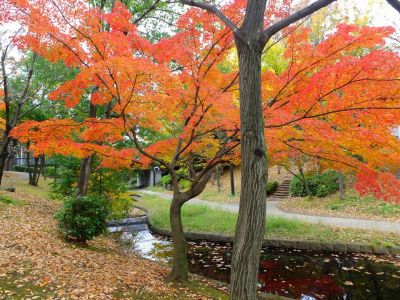 ささぶねの道（渋沢橋）

