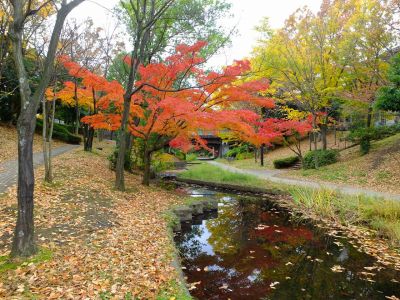 ささぶねの道（渋沢橋）
