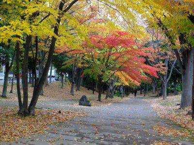ささぶねの道（御影橋）葛ケ谷公園
