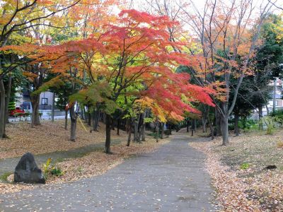 ささぶねの道（御影橋）葛ケ谷公園
