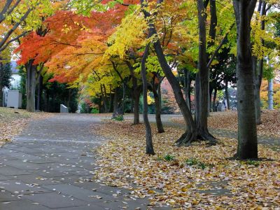 ささぶねの道（御影橋）葛ケ谷公園
