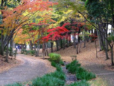 ささぶねの道（御影橋）葛ケ谷公園
