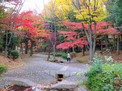 ささぶねの道（御影橋）
