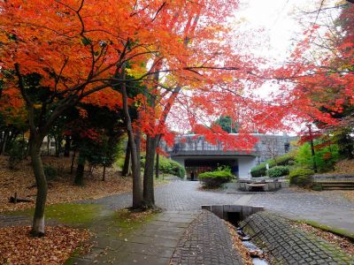 ささぶねの道（御影橋）

