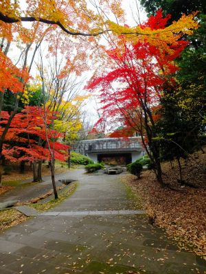 ささぶねの道（御影橋）
