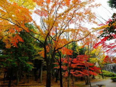 ささぶねの道（御影橋）
