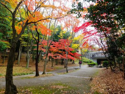 ささぶねの道（御影橋）
