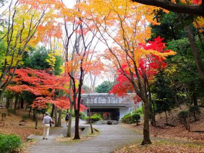 ささぶねの道（御影橋）
